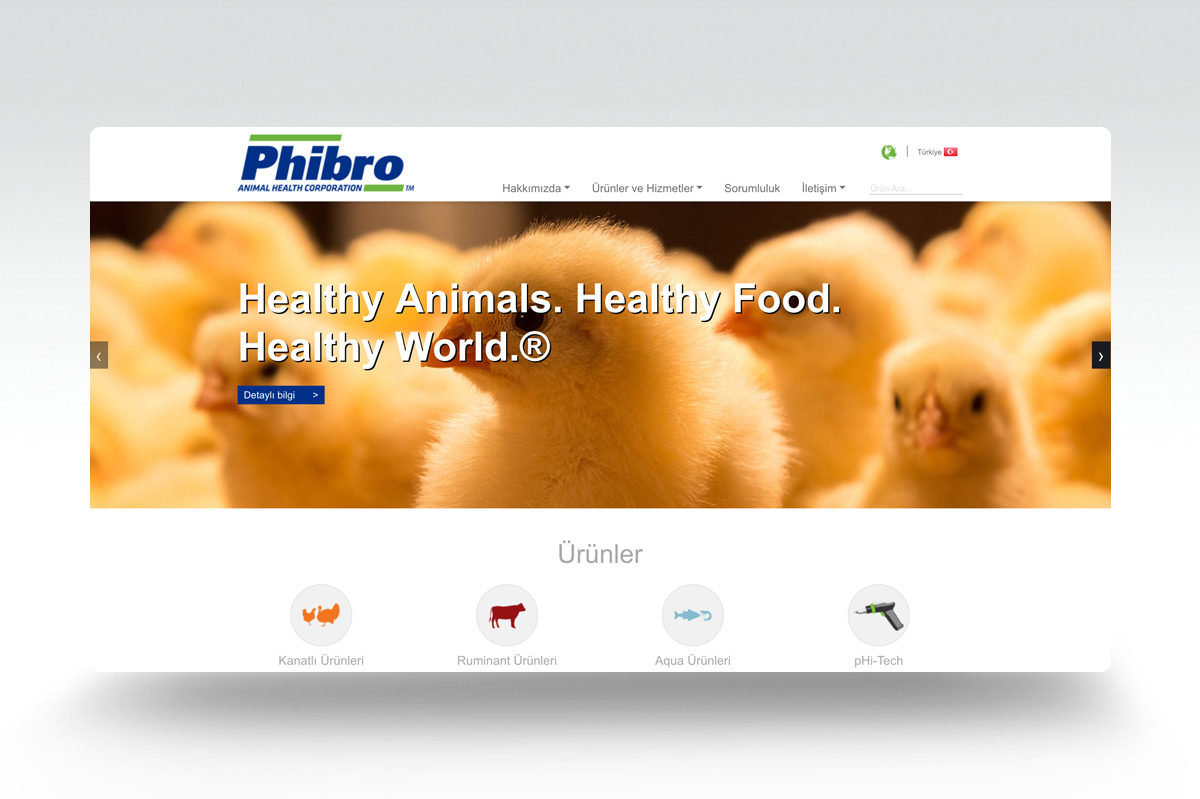 Phibro web tasarımı 1