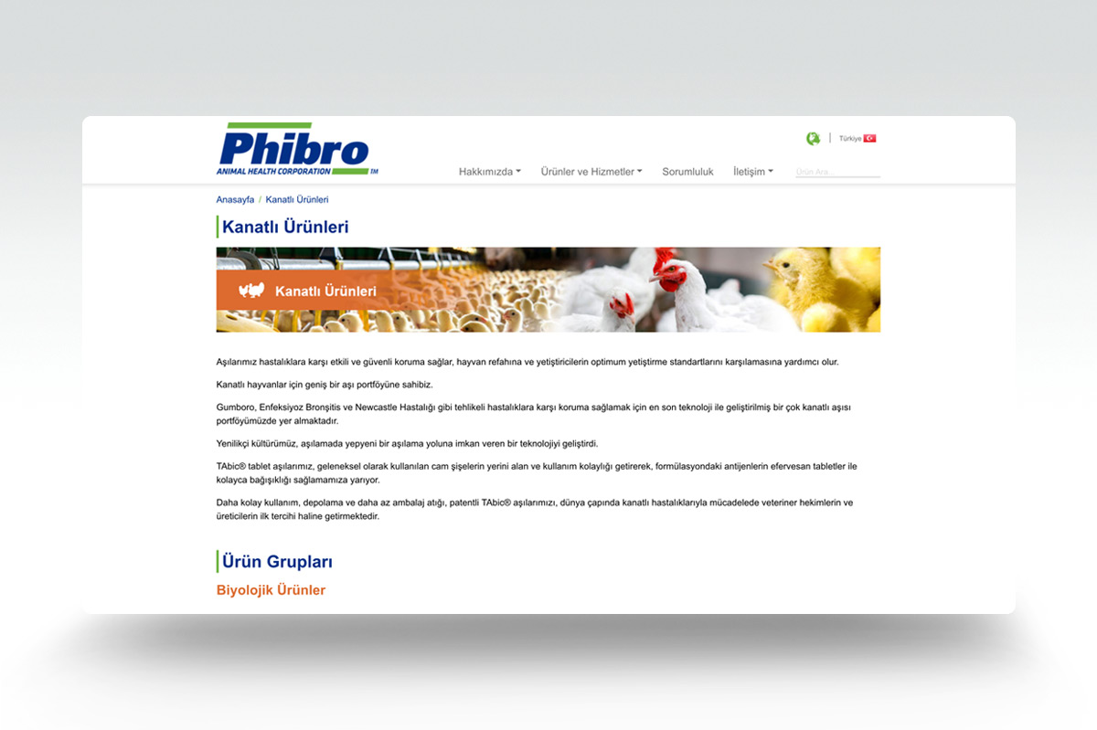 Phibro web tasarımı 2